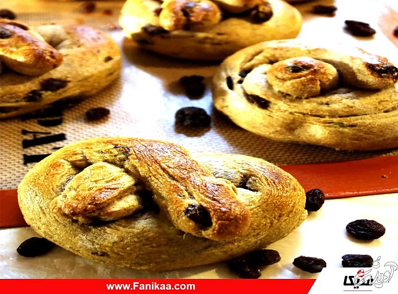 آموزش تولید و پرورش انواع کشمش به روش سنتی و در محل تاکستان